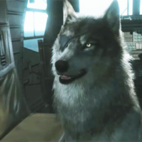 D.D. (Perro Diamante) fue la mascota de la empresa militar privada Diamond Dogs durante la década de 1980. Al igual que su propietario, Venom Snañe, el perro llevaba un parche sobre su ojo derecho.