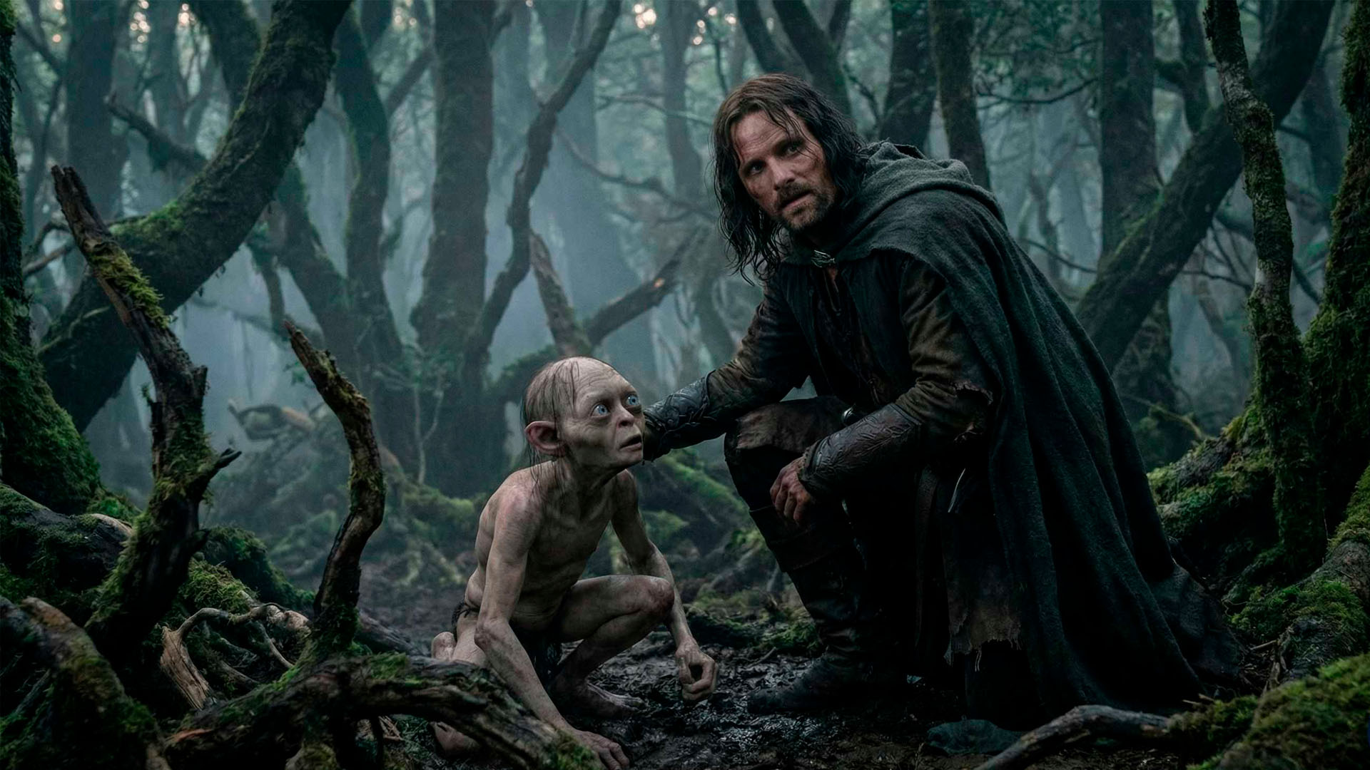 Aragorn y Gollum - Señor de los Anillos